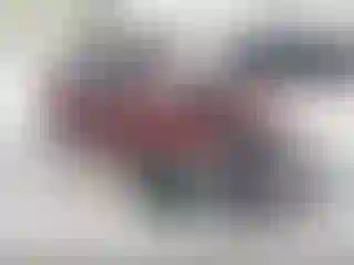 Vehicle Image- 2013 Subaru Forester