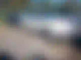 Vehicle Image- 2011 Subaru Forester