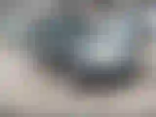 Vehicle Image- 2011 Subaru Forester