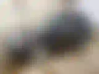 Vehicle Image- 2013 Subaru Forester