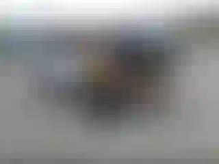 Vehicle Image- 2011 Subaru Forester