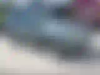 Vehicle Image- 2011 Subaru Forester