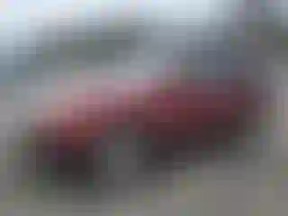 Vehicle Image- 2012 Subaru Forester