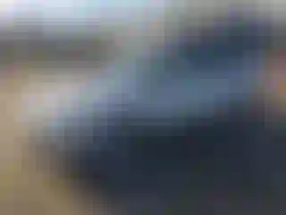 Vehicle Image- 2011 Subaru Forester