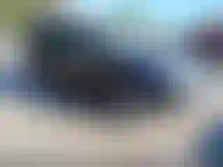 Vehicle Image- 2011 Subaru Forester