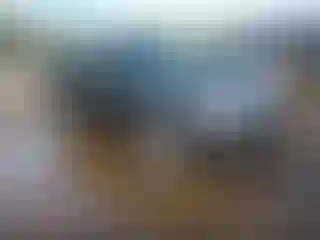 Vehicle Image- 2013 Subaru Forester