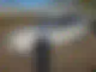 Vehicle Image- 2011 Subaru Forester