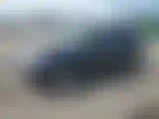 Vehicle Image- 2012 Subaru Forester