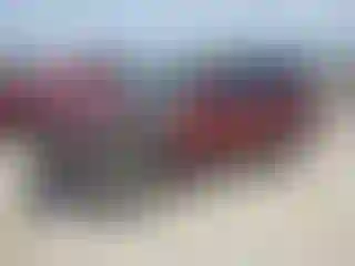 Vehicle Image- 2011 Subaru Forester