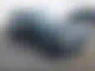 Vehicle Image- 2011 Subaru Forester