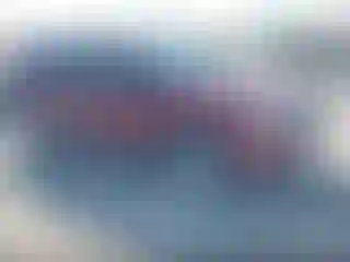 Vehicle Image- 2017 Subaru Forester