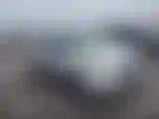 Vehicle Image- 2014 Subaru Forester