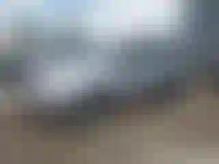 Vehicle Image- 2016 Subaru Forester