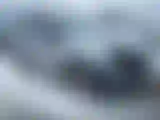Vehicle Image- 2015 Subaru Forester