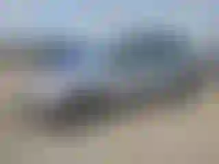 Vehicle Image- 2016 Subaru Forester