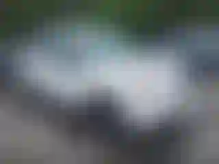 Vehicle Image- 2017 Subaru Forester