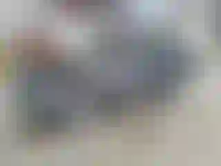 Vehicle Image- 2017 Subaru Forester