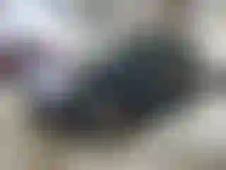 Vehicle Image- 2016 Subaru Forester