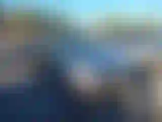 Vehicle Image- 2016 Subaru Forester