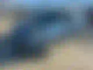 Vehicle Image- 2014 Subaru Forester