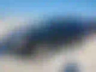 Vehicle Image- 2016 Subaru Forester