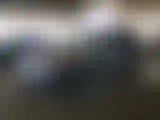 Vehicle Image- 2015 Subaru Forester