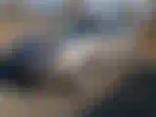 Vehicle Image- 2015 Subaru Forester