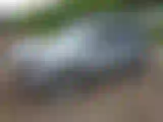 Vehicle Image- 2015 Subaru Forester