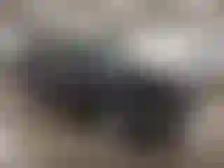 Vehicle Image- 2015 Subaru Forester