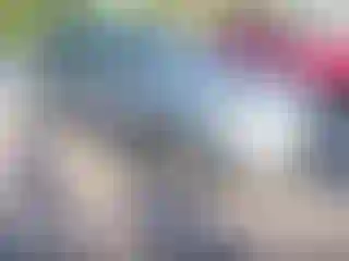 Vehicle Image- 2016 Subaru Forester