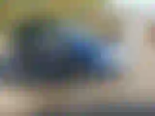 Vehicle Image- 2016 Subaru Forester