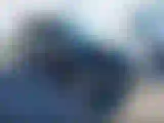 Vehicle Image- 2015 Subaru Forester