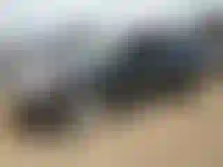 Vehicle Image- 2016 Subaru Forester