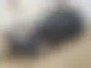 Vehicle Image- 2016 Subaru Forester