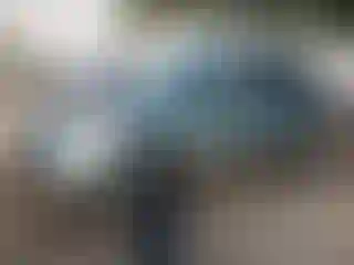 Vehicle Image- 2017 Subaru Forester