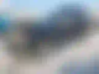 Vehicle Image- 2014 Subaru Forester