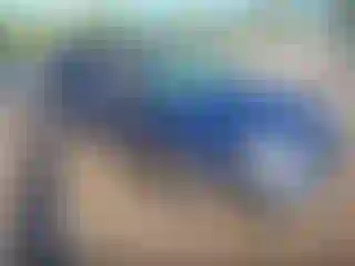 Vehicle Image- 2017 Subaru Forester