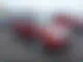 Vehicle Image- 2014 Subaru Forester