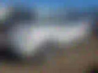 Vehicle Image- 2014 Subaru Forester