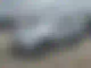 Vehicle Image- 2017 Subaru Forester