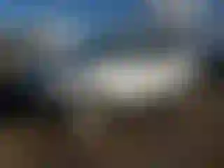 Vehicle Image- 2014 Subaru Forester