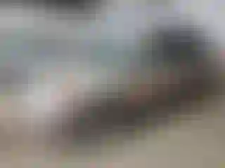 Vehicle Image- 2014 Subaru Forester