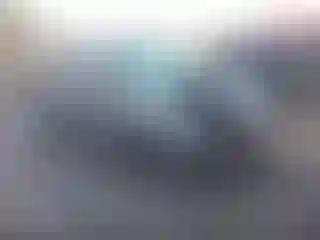 Vehicle Image- 2017 Subaru Forester