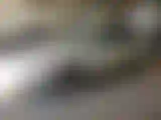 Vehicle Image- 2014 Subaru Forester