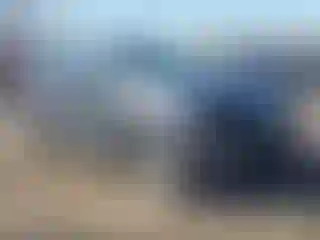 Vehicle Image- 2018 Subaru Forester