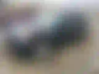 Vehicle Image- 2014 Subaru Forester