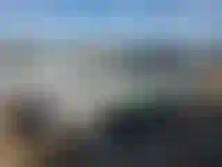 Vehicle Image- 2016 Subaru Forester