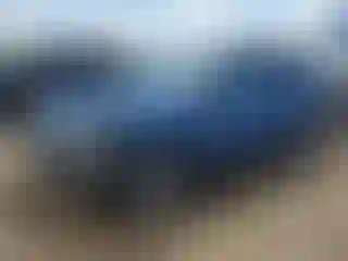 Vehicle Image- 2015 Subaru Forester