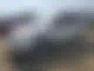 Vehicle Image- 2014 Subaru Forester