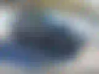 Vehicle Image- 2017 Subaru Forester